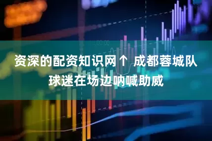 资深的配资知识网↑ 成都蓉城队球迷在场边呐喊助威