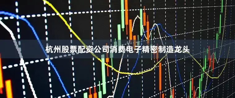 杭州股票配资公司消费电子精密制造龙头