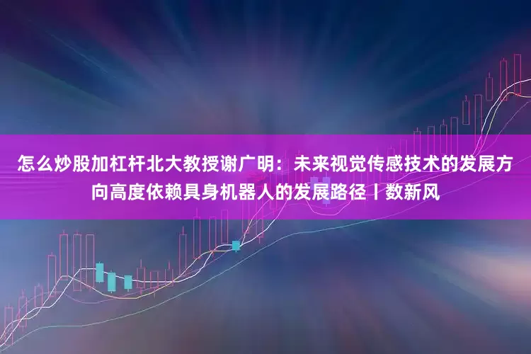 怎么炒股加杠杆北大教授谢广明：未来视觉传感技术的发展方向高度依赖具身机器人的发展路径丨数新风