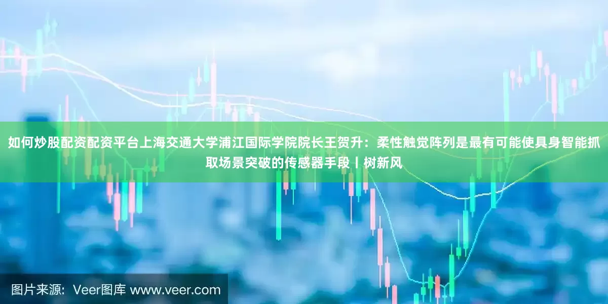 如何炒股配资配资平台上海交通大学浦江国际学院院长王贺升：柔性触觉阵列是最有可能使具身智能抓取场景突破的传感器手段丨树新风
